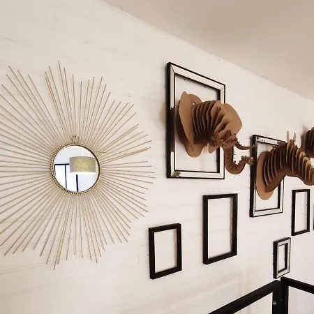 Duplex 2 Pieces Hypercentre De Daire *