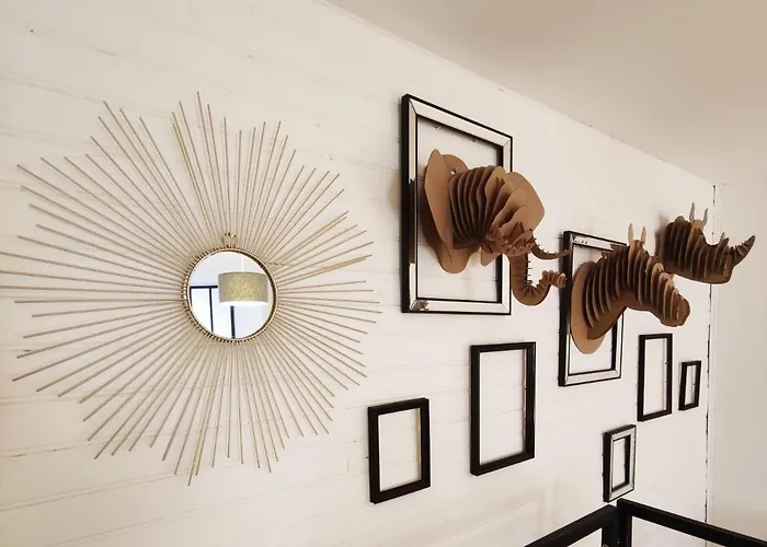 Duplex 2 Pièces Hypercentre De Appartement *