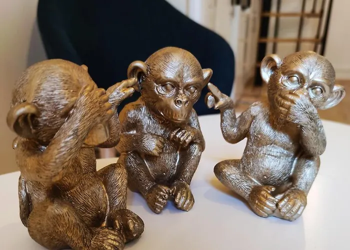 Appartement Duplex 2 Pièces Hypercentre De Granville